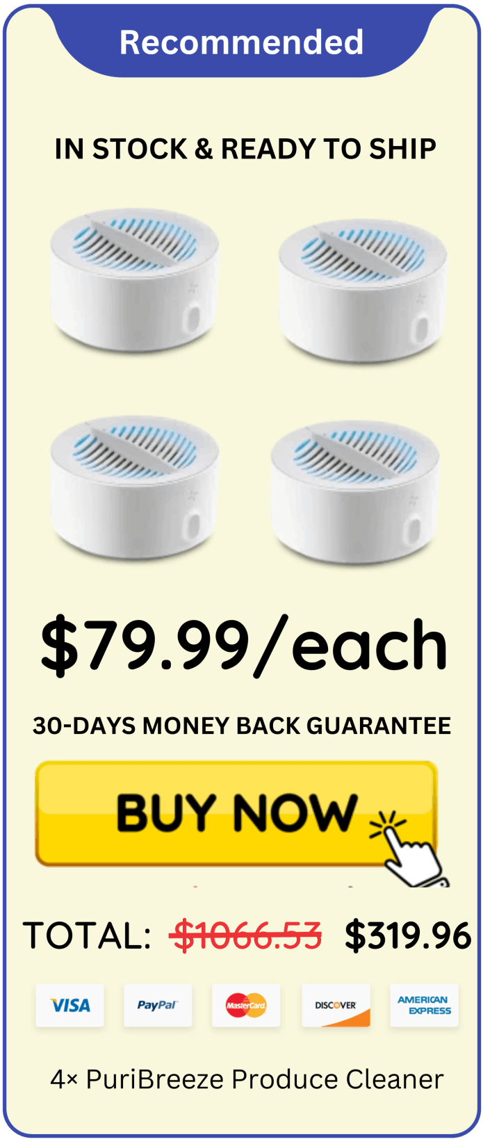 PuriBreeze Produce Cleaner offer price