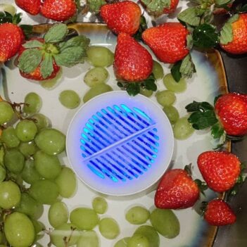 PuriBreeze Produce Cleaner user Danielle R.